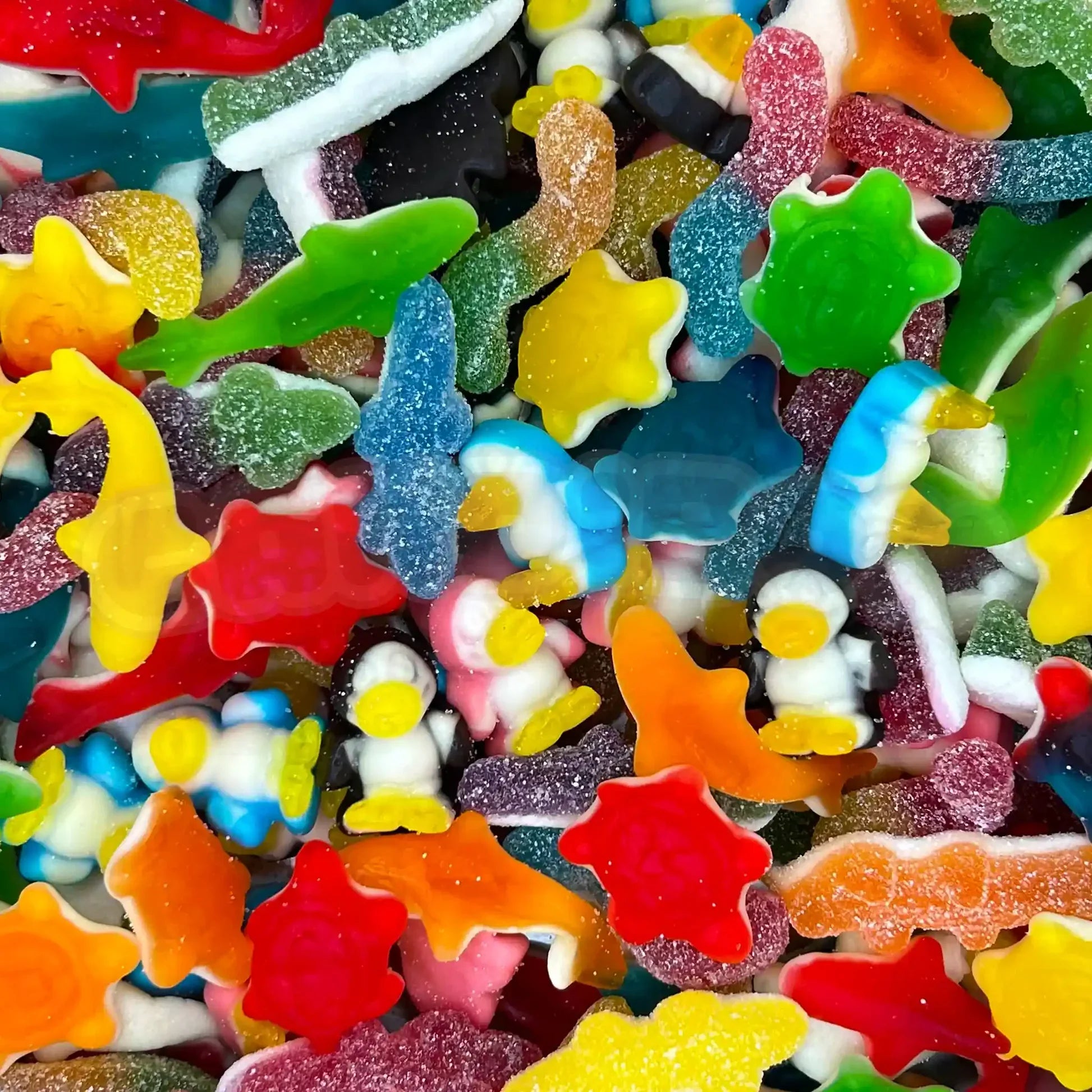 Univers bonbons